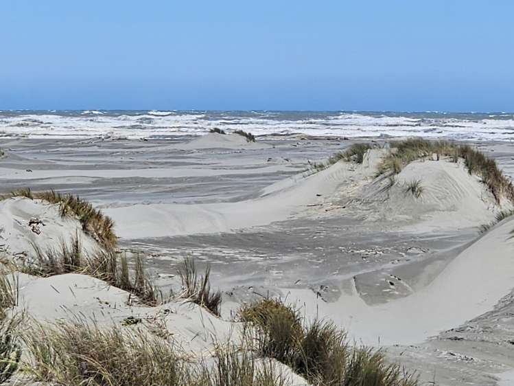 39 Muaupoko Street Hokio Beach_11