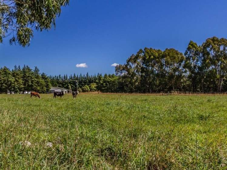 383 Norfolk Road Carterton_17