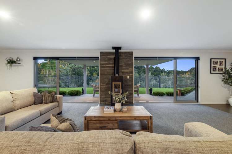 253 Horseshoe Bush Road Dairy Flat_12