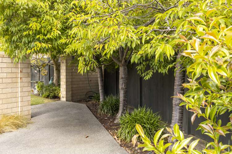 7 Rutledge Drive Springlands_26