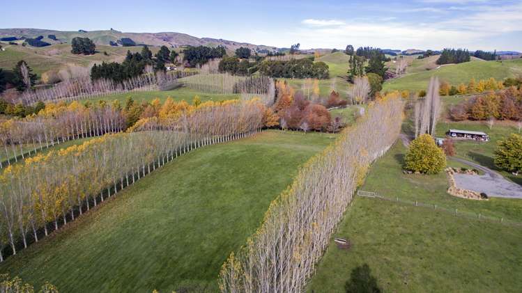 149 Parnassus Road Cheviot_17