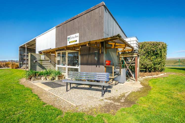 16 Arowhenua Station Road Kerrytown_58