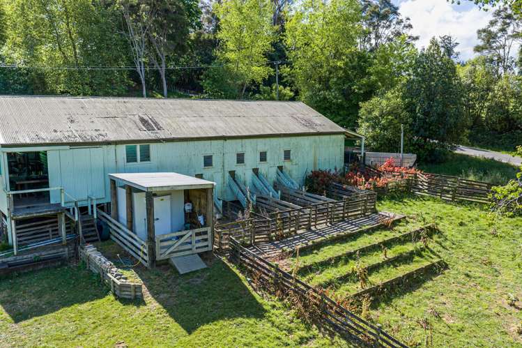 Lot 4 Old Coach Road Te Pohue_4