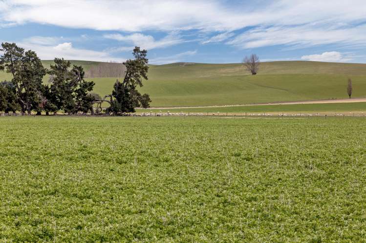 Hawarden Waikari Road Waikari_20