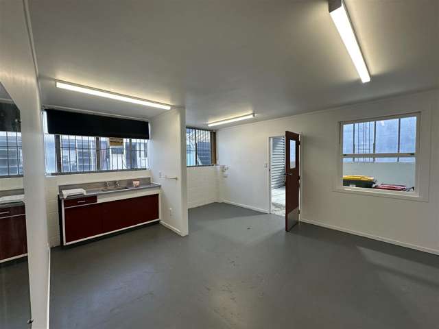 9B Spring Street Onehunga_2