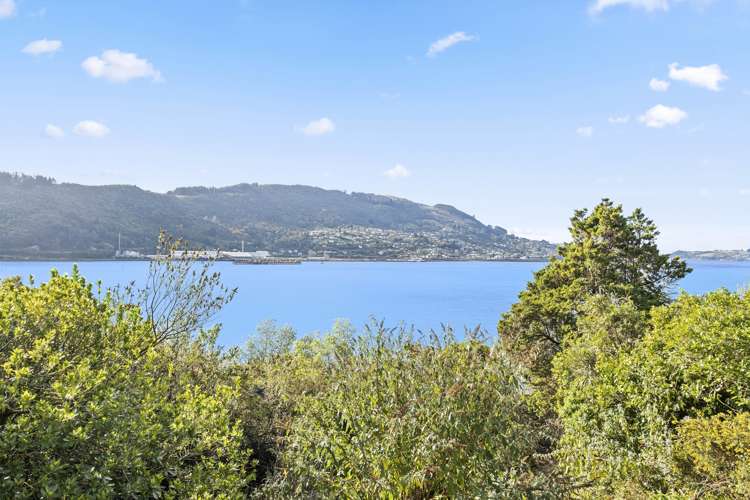 243 Portobello Road The Cove_1