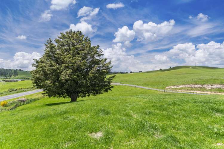 1569 Poihipi Road Oruanui_24