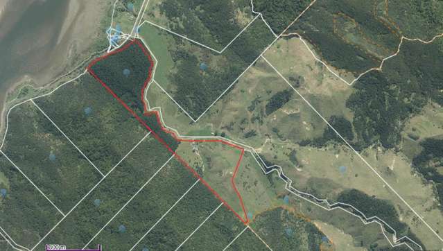 1771 Klondyke Road Port Waikato_3