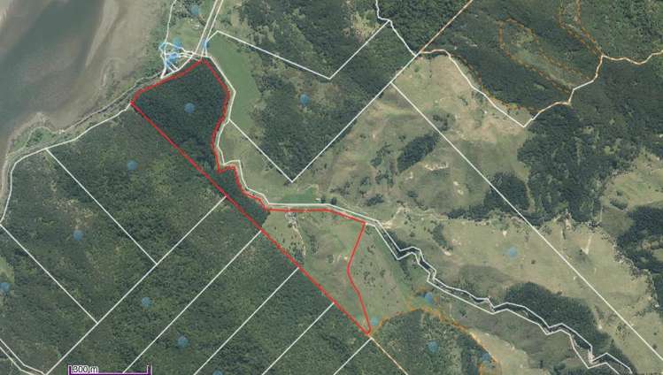 1771 Klondyke Road Port Waikato_3