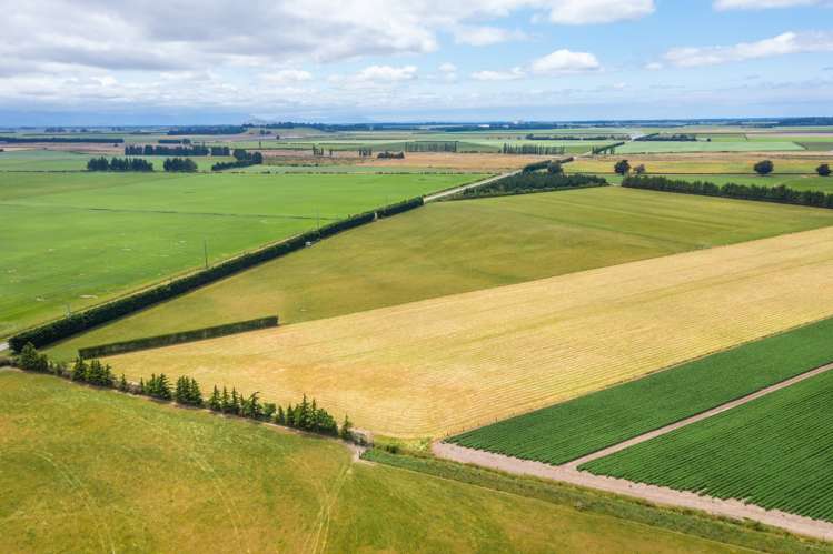 Waireka Road Darfield_10