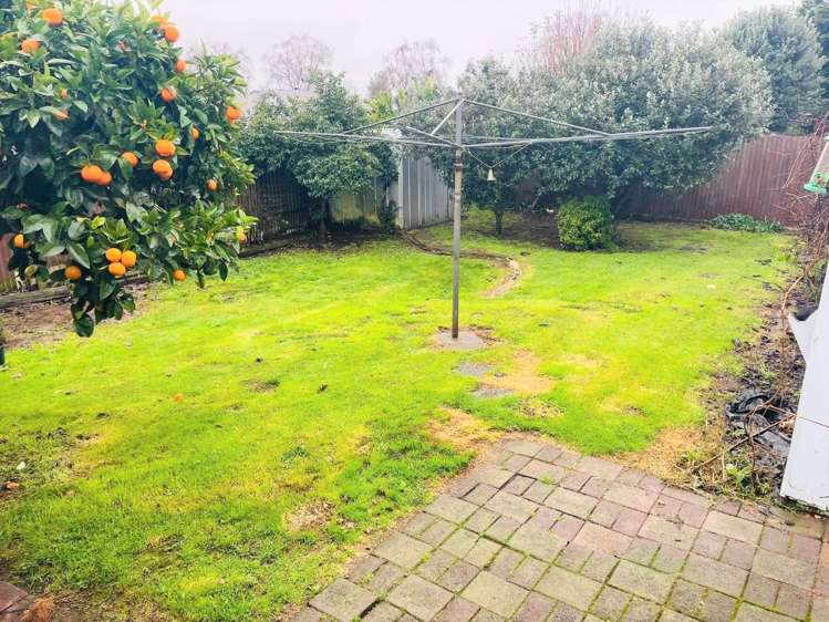 54 Rata Street Matamata_12