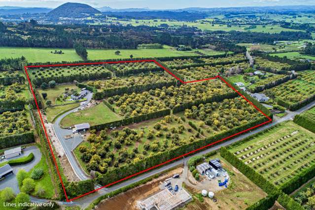 Tranquil Family Living on an Avocado Orchard!