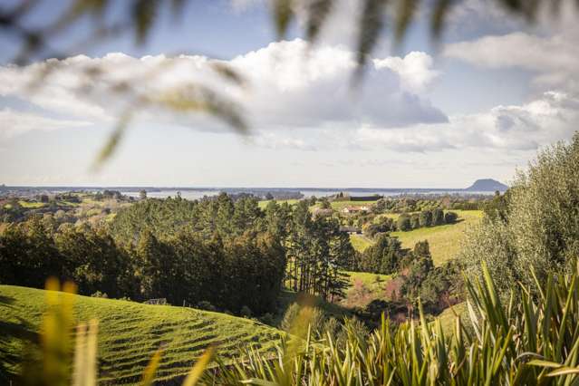 108A Plummer Road Whakamarama_2