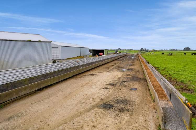 226 Ngarongo Road Normanby_14