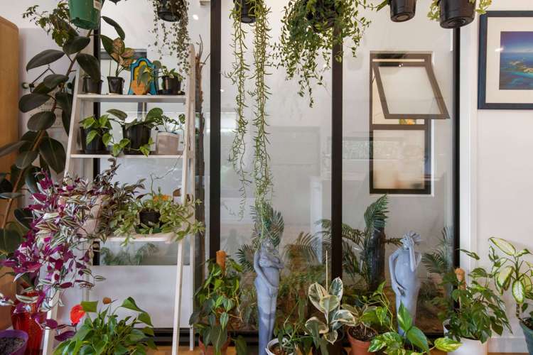 12 Jacob Street Brookfield_9