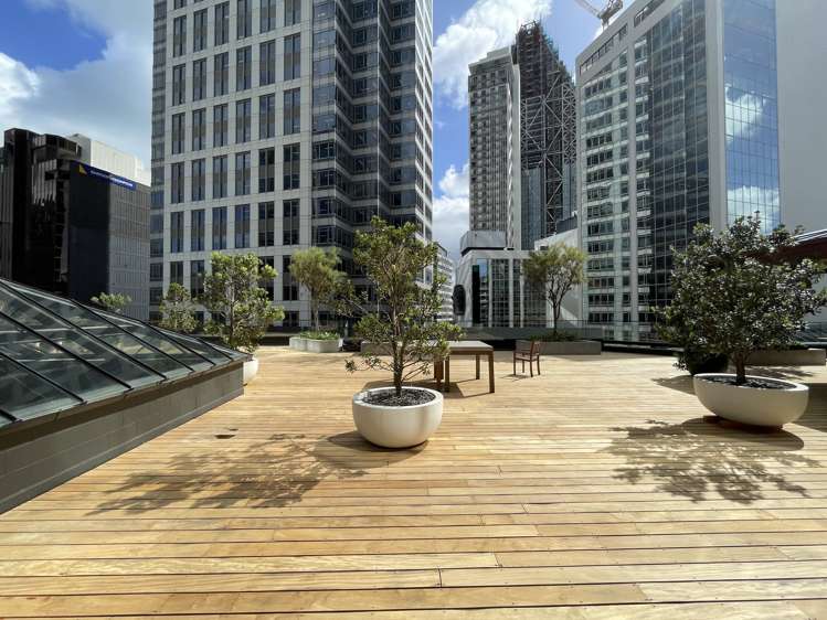 55 Shortland Street Auckland Cbd_1