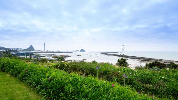 38 Birdwood Avenue Moturoa_9