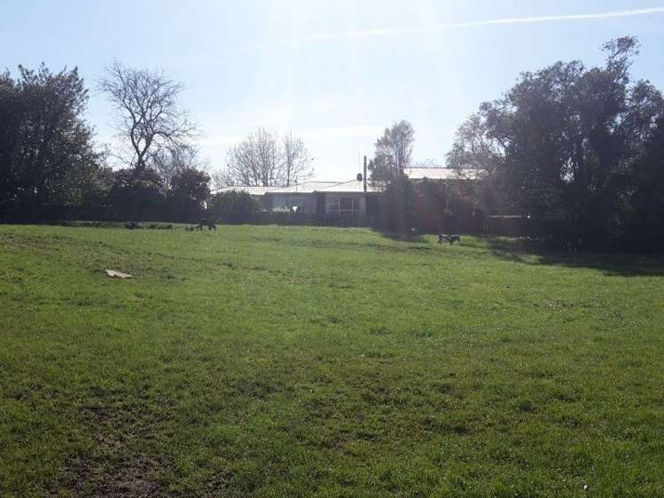 346 Rugby Road Tariki_48