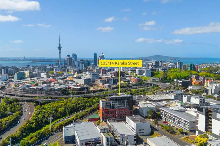 103/14 Karaka Street Eden Terrace_16