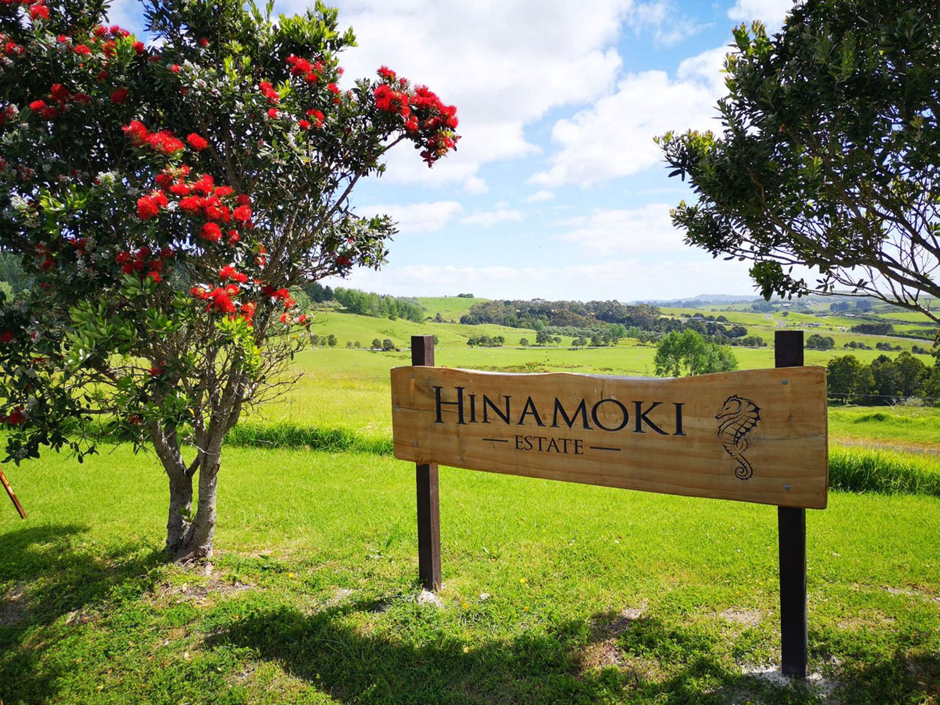 20 Barnfield Road Kaiwaka_0