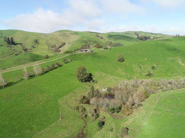 637 Tahuroa Road Morrinsville_2