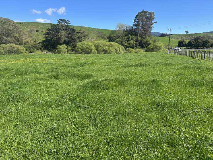 Lot 1, 51 Kiwi Road Pirongia_3