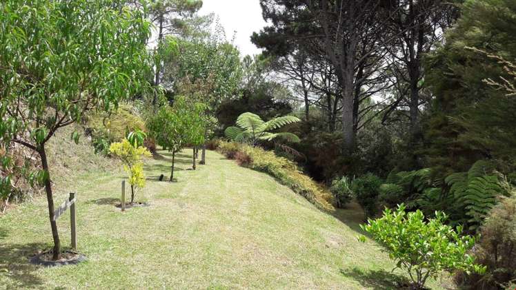 190c Lonely Track Road Dairy Flat_5