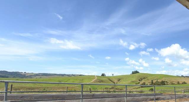 528 Monument Road Maramarua_1