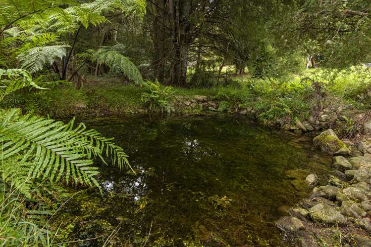 704a Ngunguru Road Glenbervie_9