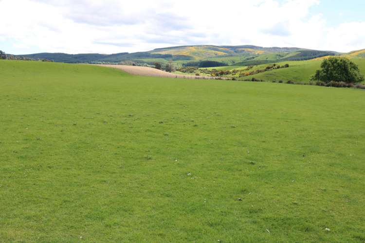 7 Abram Road Gore Surrounds_8