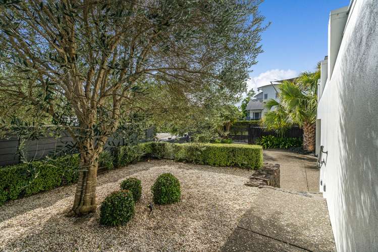 19a Godden Crescent Mission Bay_15