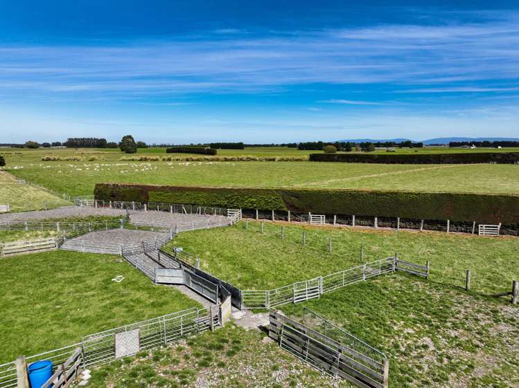 372 Looney Road South Hillend_12