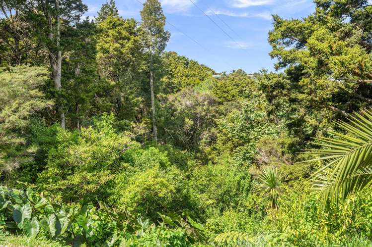 335 Whangarei Heads Road Tamaterau_24