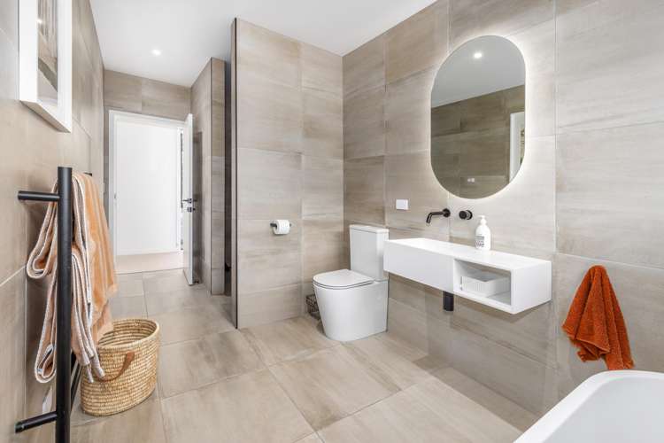 24 Phoenix palms Grove Levin_15