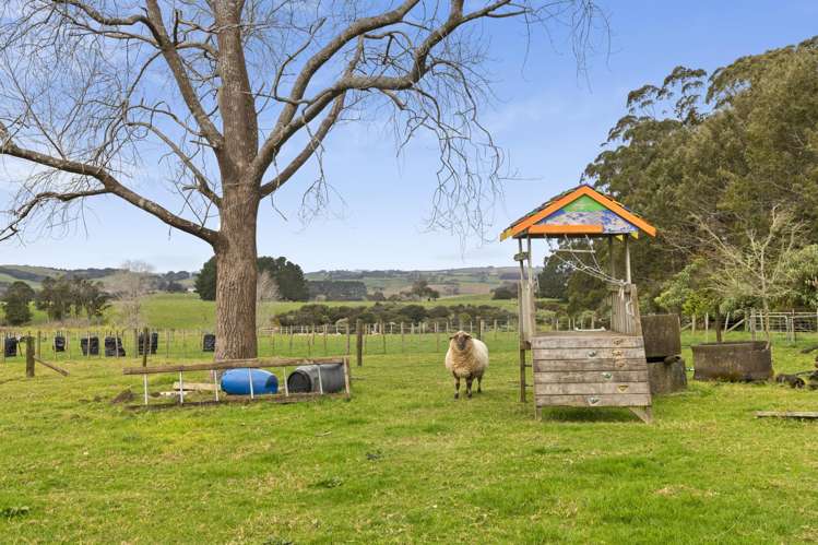 87 Lee Road Onewhero_28