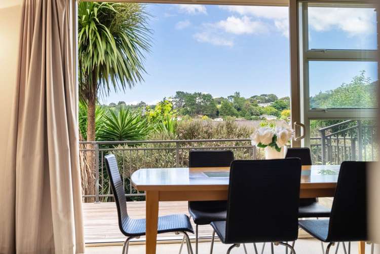 65 Frederick Street Hillsborough_6