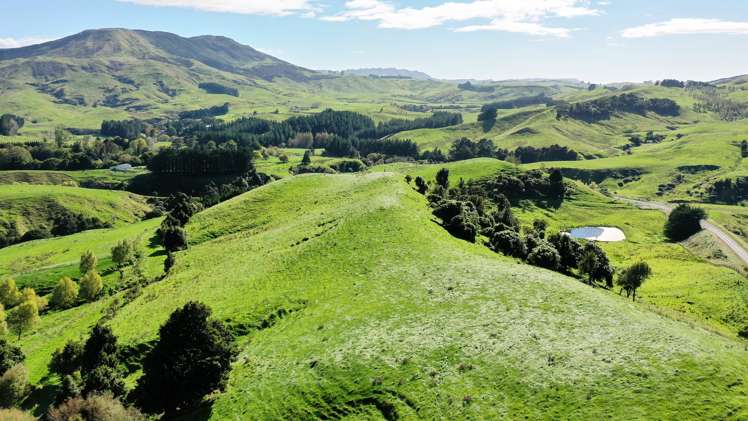 1793 Te Uri Road Rangitikei Surrounds_2