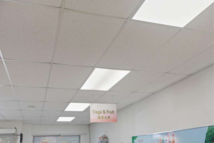 62 Grey Street Tauranga Central_5