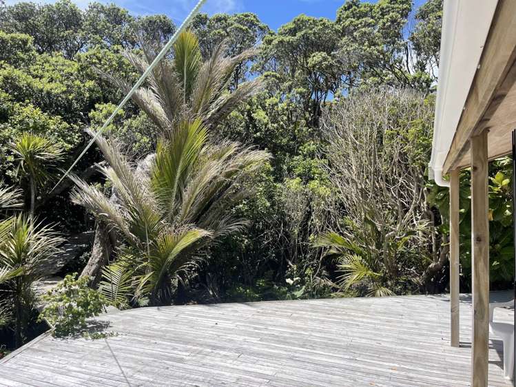 420 Shoal Bay Road Great Barrier Island_12