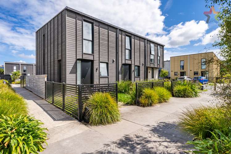 6 Te Ara O Paetutu Petone_20