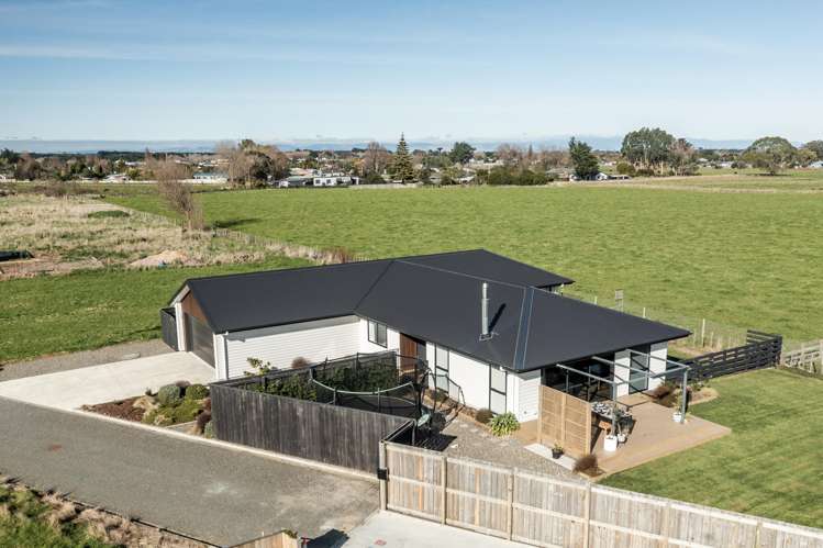 39 George Street Bulls_36