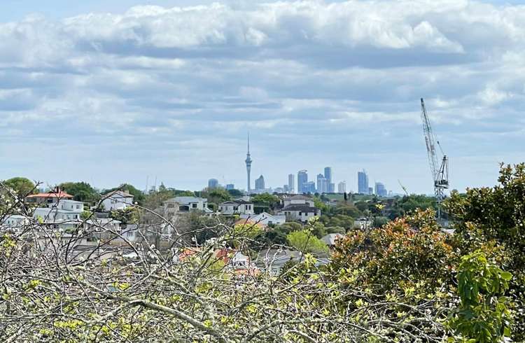 80 Kildare Avenue Glendowie_7