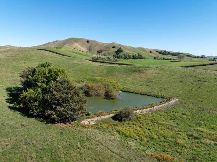 1072 Tahuna Road Waiterimu_11