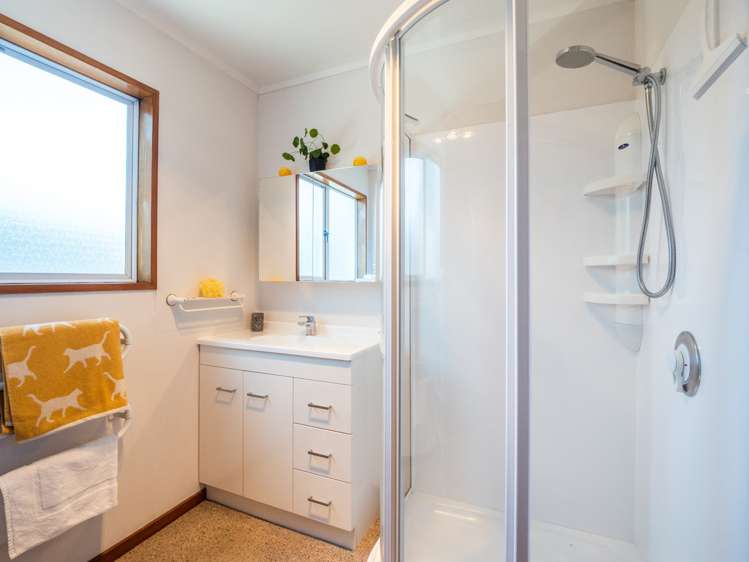 177b Bay View Road South Dunedin_11