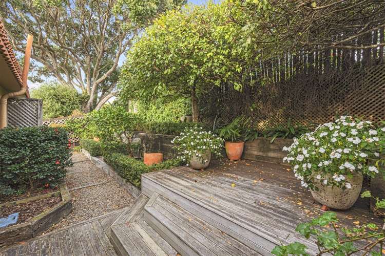 37 Manurere Avenue Takapuna_15