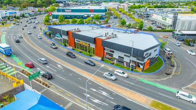 65 Blenheim Road Addington_2