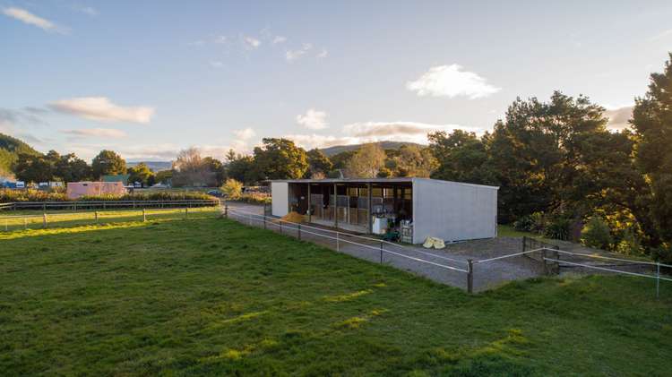 349 Wakefield-Kohatu Highway Wakefield_22