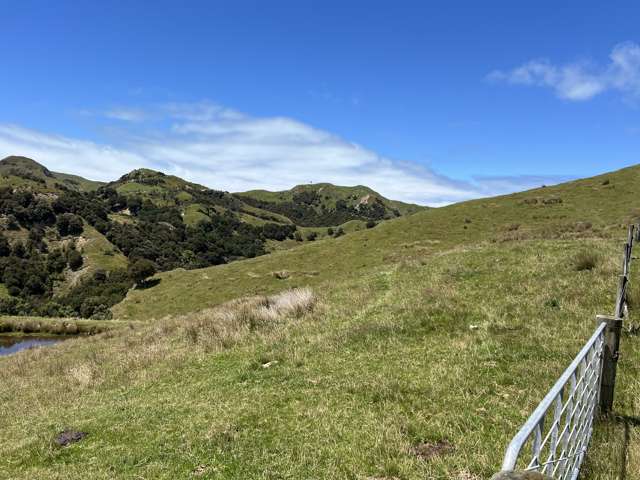 310 Branscombe Road Akitio_2