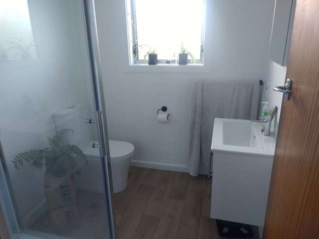 9A Atkinson Street Normanby_4