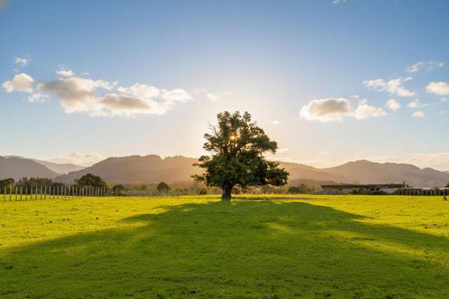 Build Your Dream Home on Your Dream Section